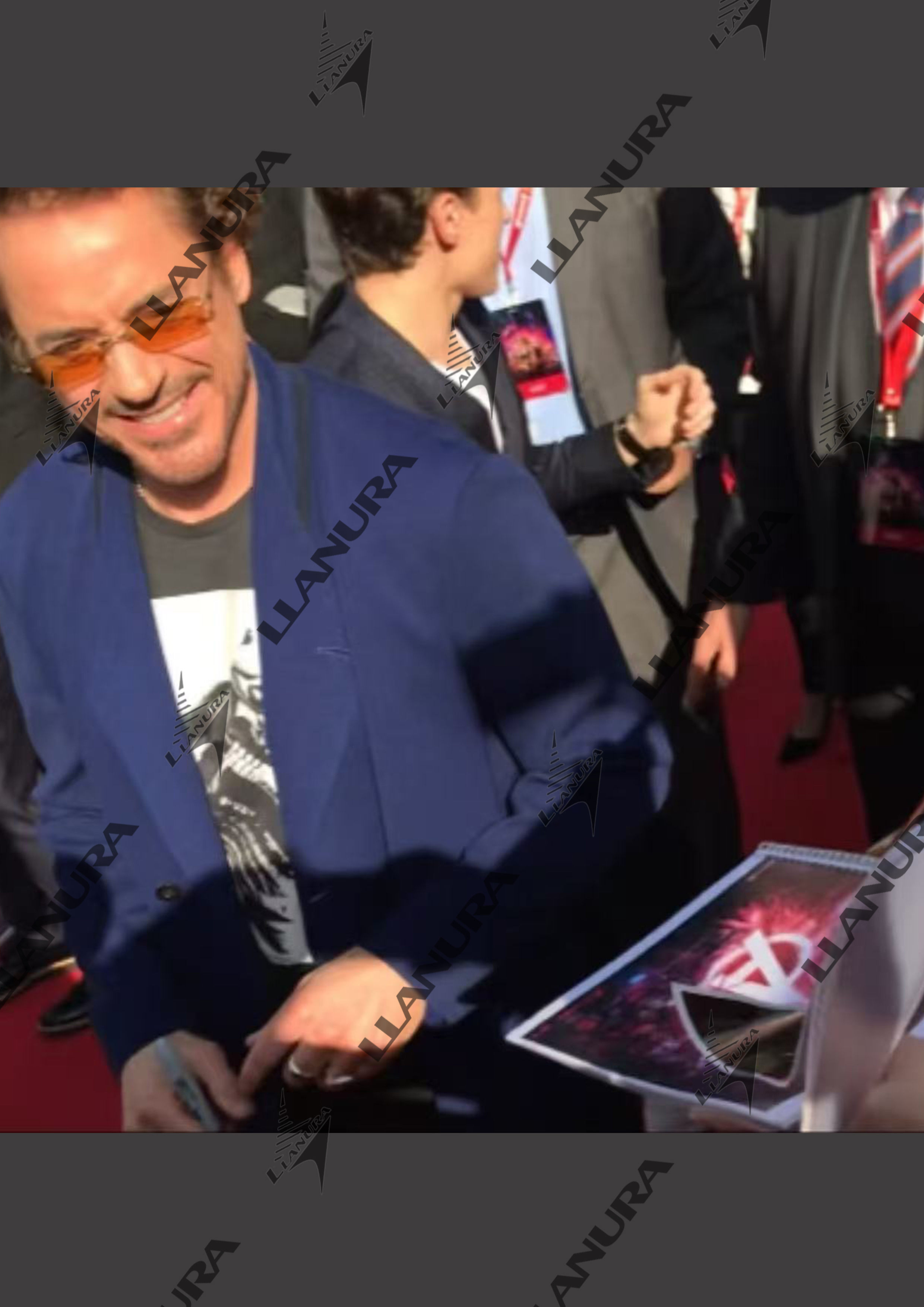 Robert Downey Jr.